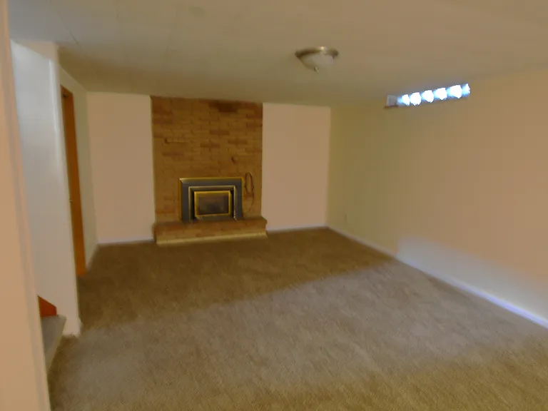 Basement Family Room