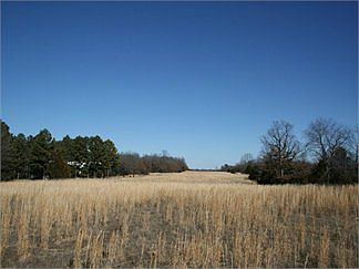 1st image of 2976 County Road 2340
