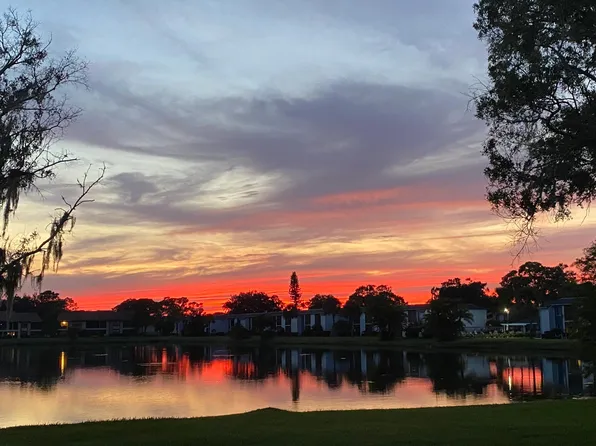 206 Woodlake Wynde, Oldsmar, FL