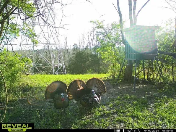 783 Lick Skillet Rd, Manchester, OH 45144