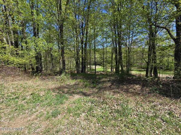 Long River Rd, Newfoundland, PA 18445