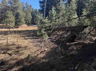 LOT 1031 Armijo Dr, Angel Fire, NM 87710