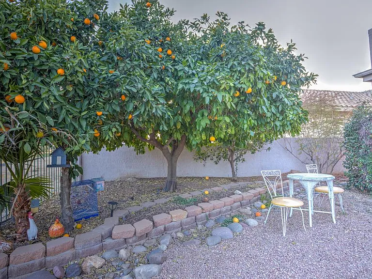11018 N Mountain Breeze Dr — Photo 12