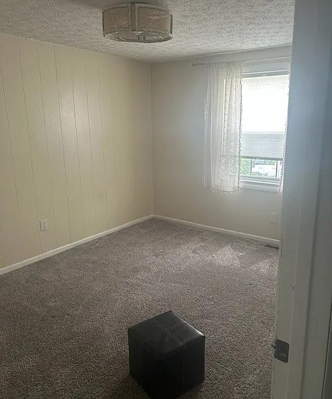 4215 Bitterroot Dr — Photo 3
