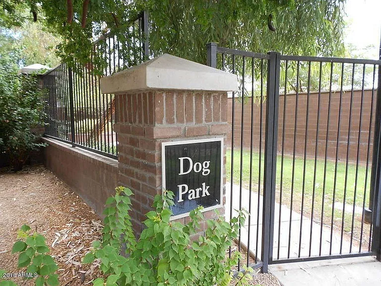 Dog park