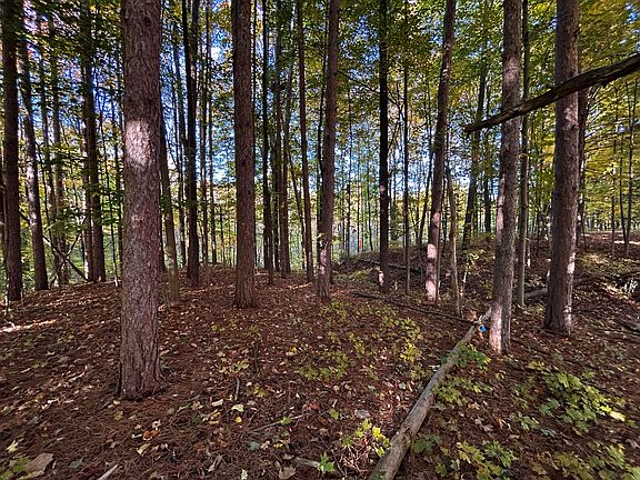 4th image of 13809 Deer Creek Dr #6
