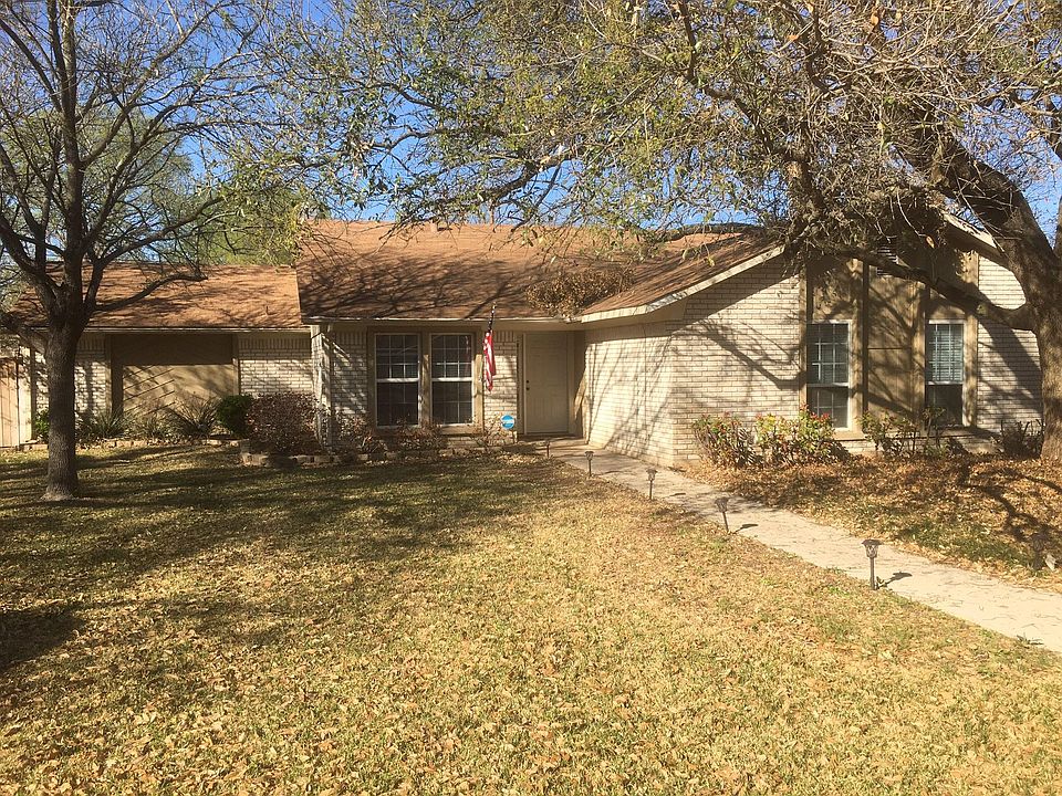 Tree'd front yard