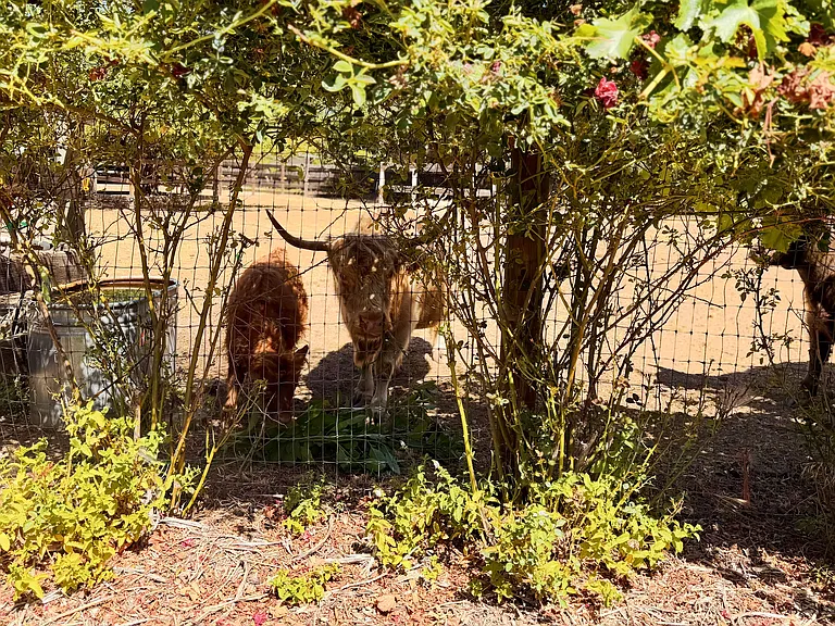 Lake Mendocino Dr — Photo 13