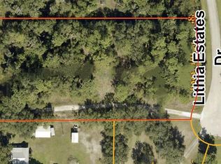 10623 Lithia Estates Dr #100, Lithia, FL 33547