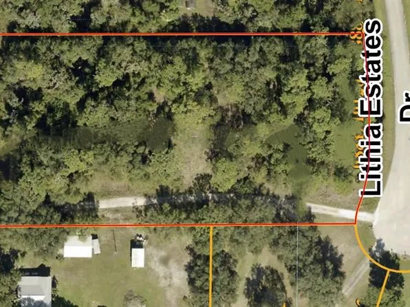 10623 Lithia Estates Dr #100, Lithia, FL 33547