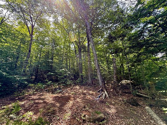 4th image of 2018 Hillside Road