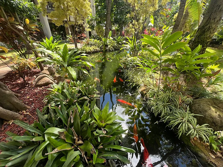 300 Wai Nani Way #204 — Photo 17