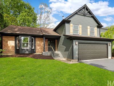 1420 Madison Dr, Buffalo Grove, IL, 60089