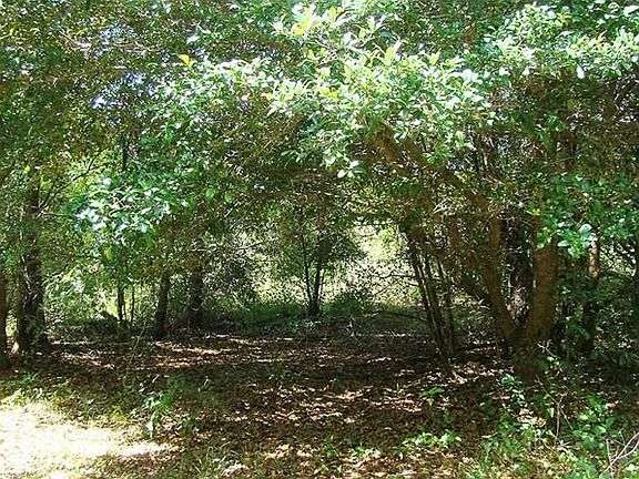 4th image of 13234 State Road 33
