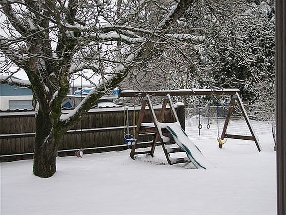 Backyard with walnut tree and play structure