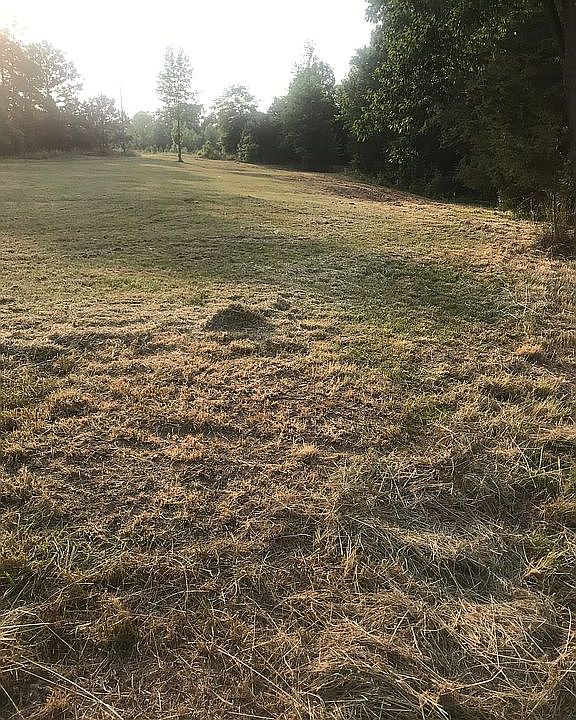 11.55 Acres / 803-246-7105