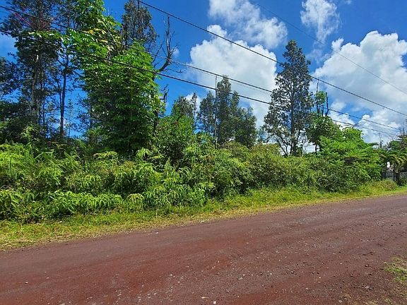 3rd image of Hibiscus Dr Lot 33