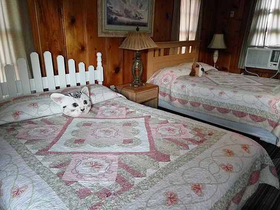 cabin 1
