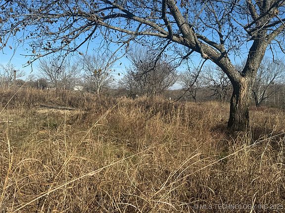 5th image of 21032 County Road 1543