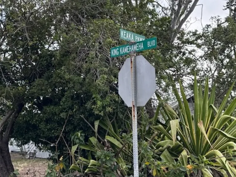 King Kamehameha Blvd — Photo 14