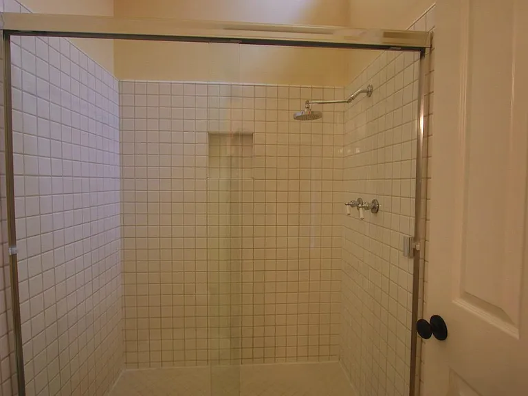 Master shower