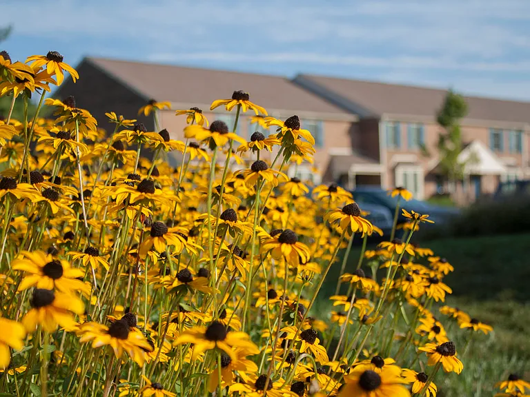 Landscaping Included