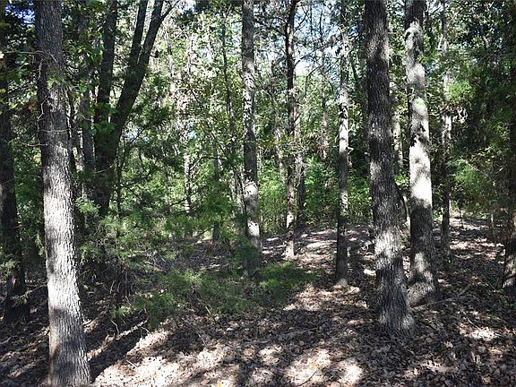 5th image of LOT 0 Vz County Road 2120
