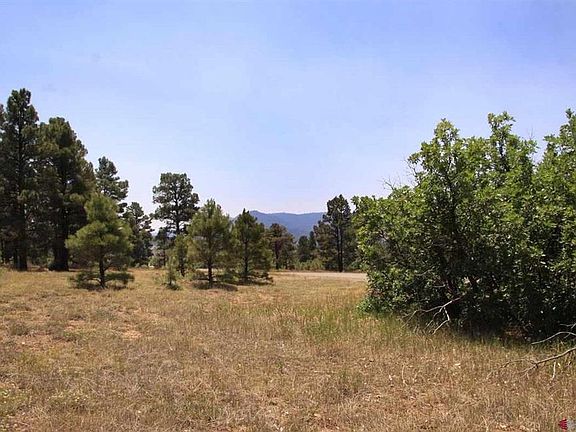 2nd image of 445 & 478 Bonanza Avenue