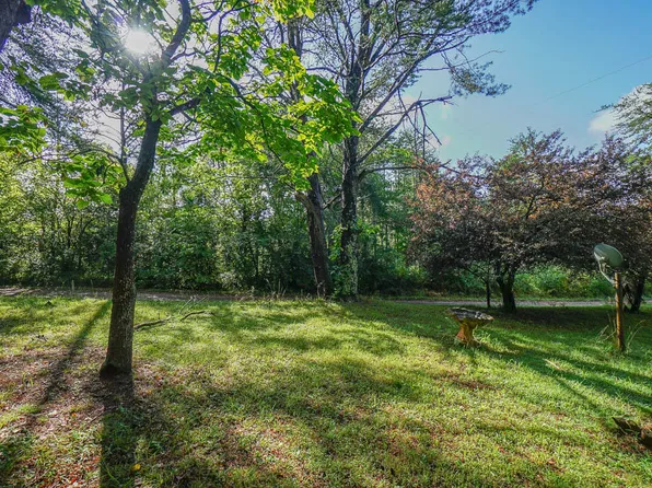 Love Rd, Friendsville, TN 37737