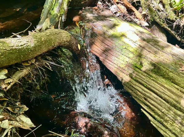 4264 Cleveland Rd, Milton, FL 32570