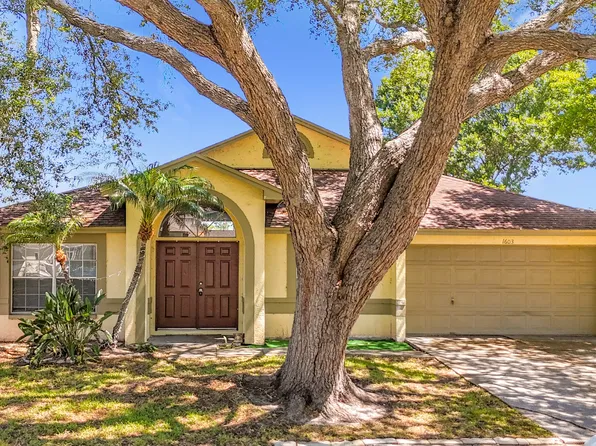 1603 Storington Ave, Brandon, FL 33511