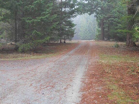 Flat, wooded land