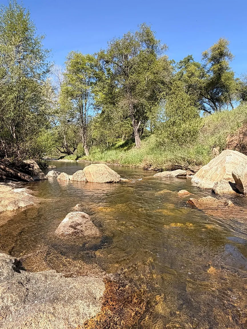 6885 Chaparral Ln photo 1