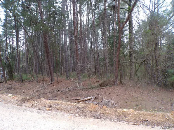 13495 Gilbert Tommie Rd, Mc Calla, AL 35111