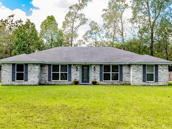 254 Pinevale Way, Sour Lake, TX 77659