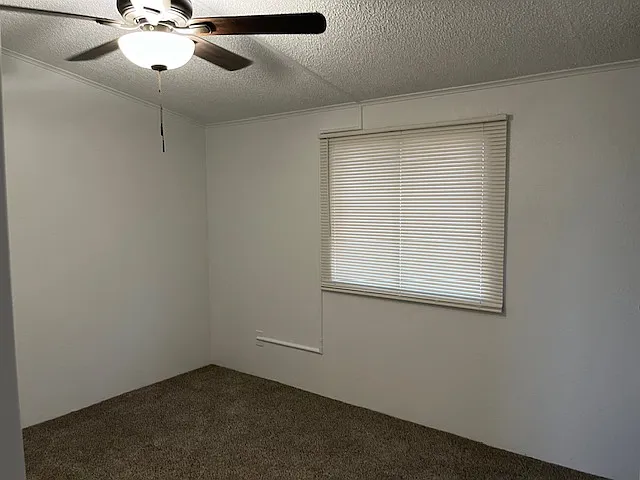 3205 S Dinky Creek Dr — Photo 17