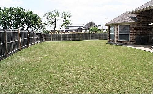 Back yard