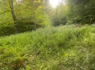 1138 South Rd, Peru, VT 05152