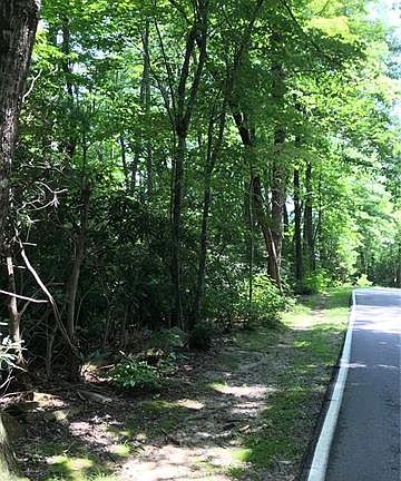 3rd image of 220 Greenleaf Dr