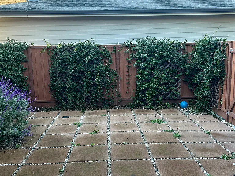 984 Brunello Dr — Photo 22
