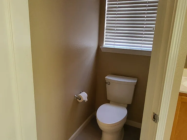 Master_Toilet