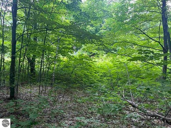 2nd image of 0 W Armstrong Lake Trl