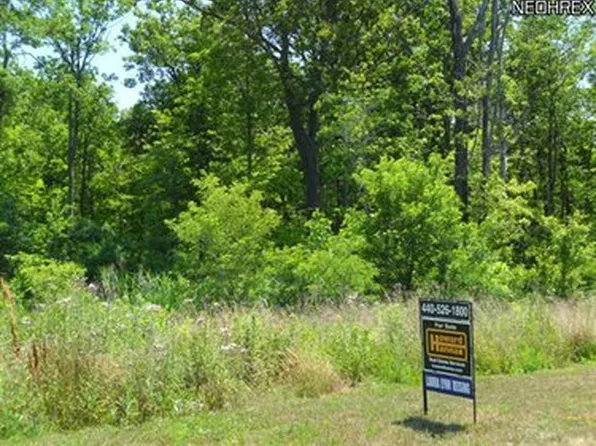 1675 N Shore Dr, Painesville, OH 44077