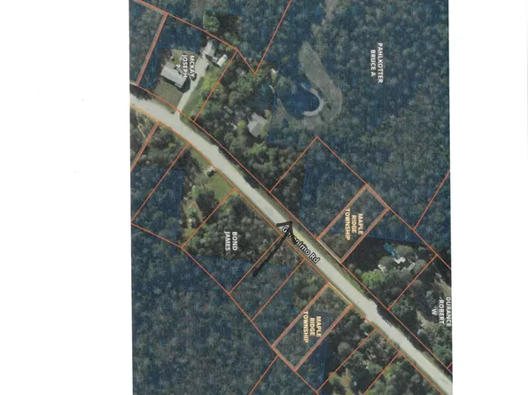 428 & 432 Geronimo Rd, Alpena, MI 49707