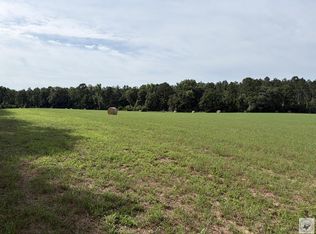 County Road 4565, Bivins, TX 75555