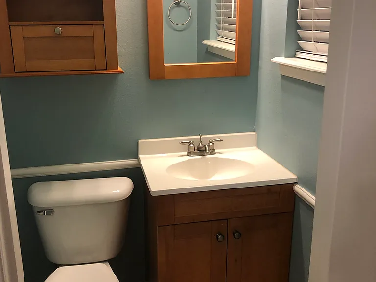 Half bath in master bedroom