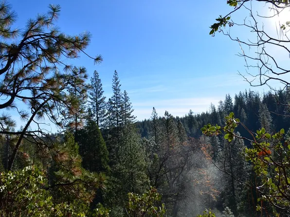 1703 War Hawk Way, Arnold, CA 95223