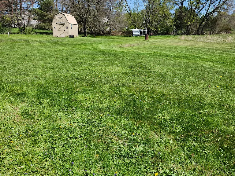 back yard with storage barn(s)