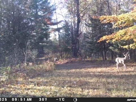 3rd image of 188 W Procunier Rd