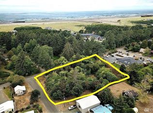 255 Park Ave, Ocean Park, WA 98640